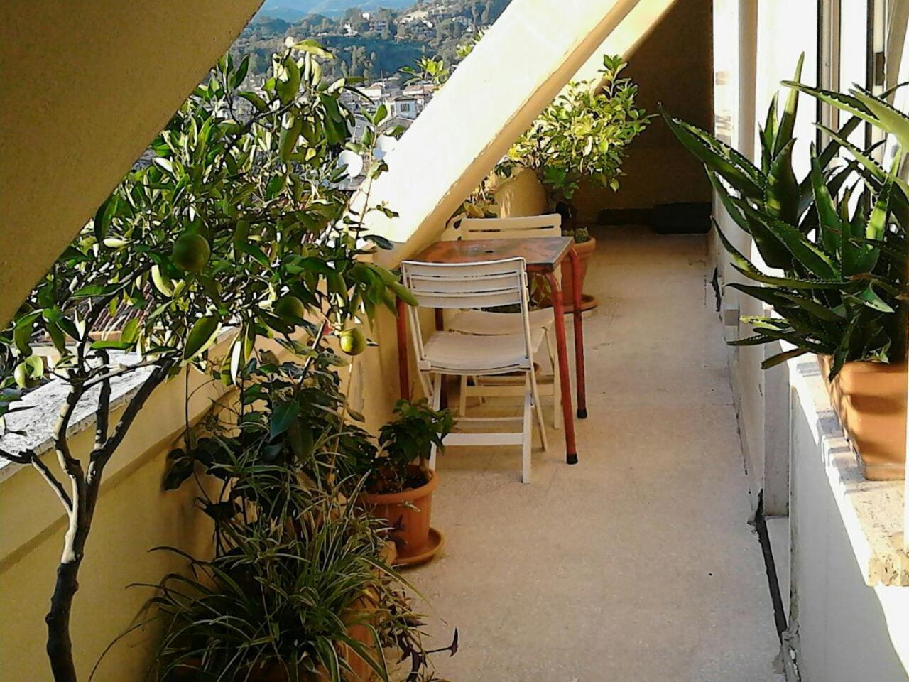 阿斯科利皮切诺A Casa Di Lola住宿加早餐旅馆 外观 照片